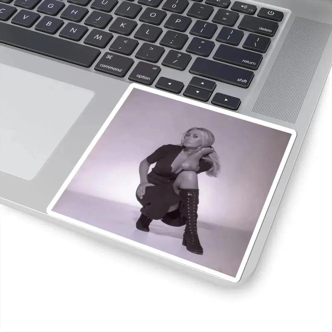 Linda Gaye Scott #21 (Vintage Female Icon) STICKER Vinyl Kiss-Cut Decal - The Sticker Space