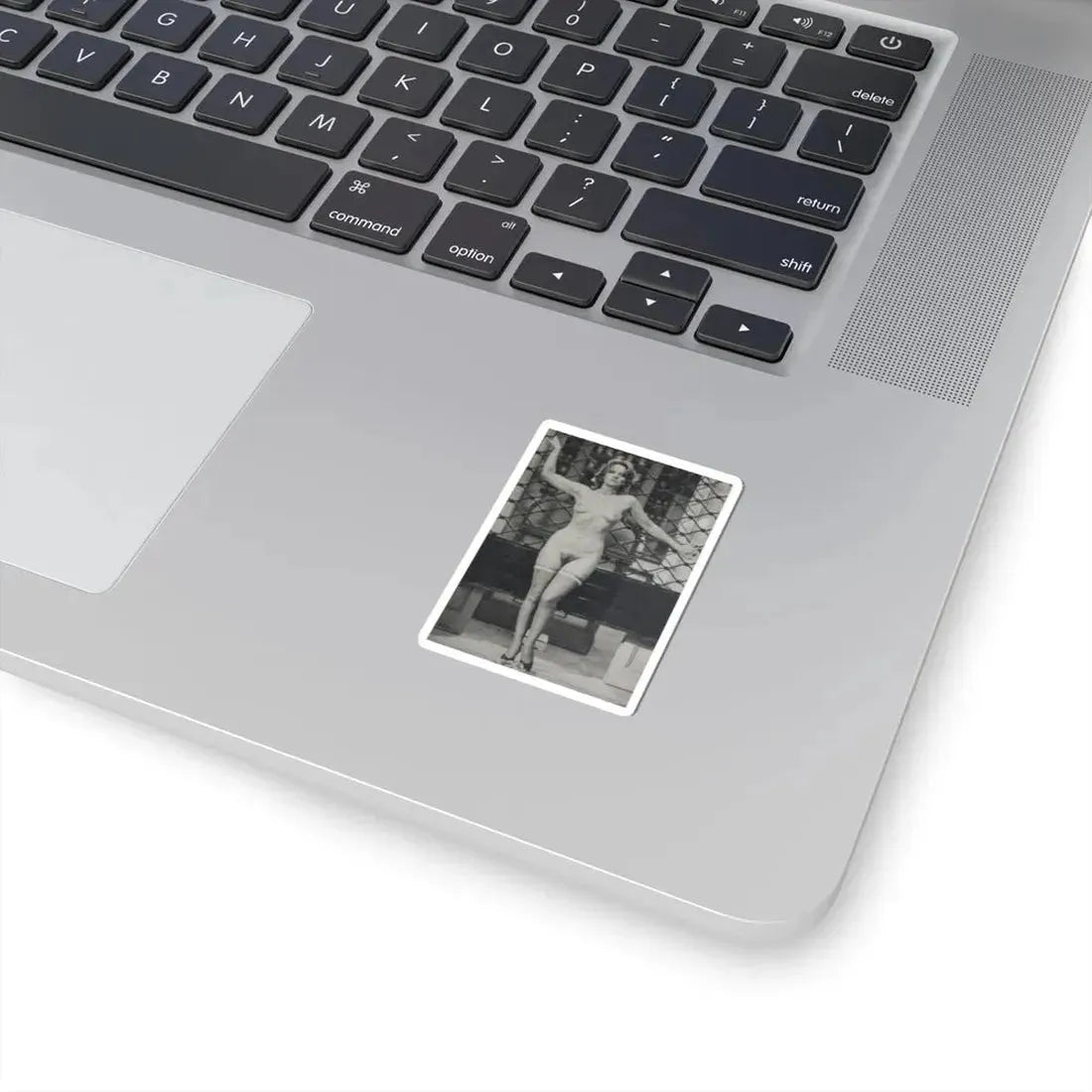 Lisa Gastoni #12 - Nude (Vintage Female Icon) STICKER Vinyl Kiss-Cut Decal - The Sticker Space