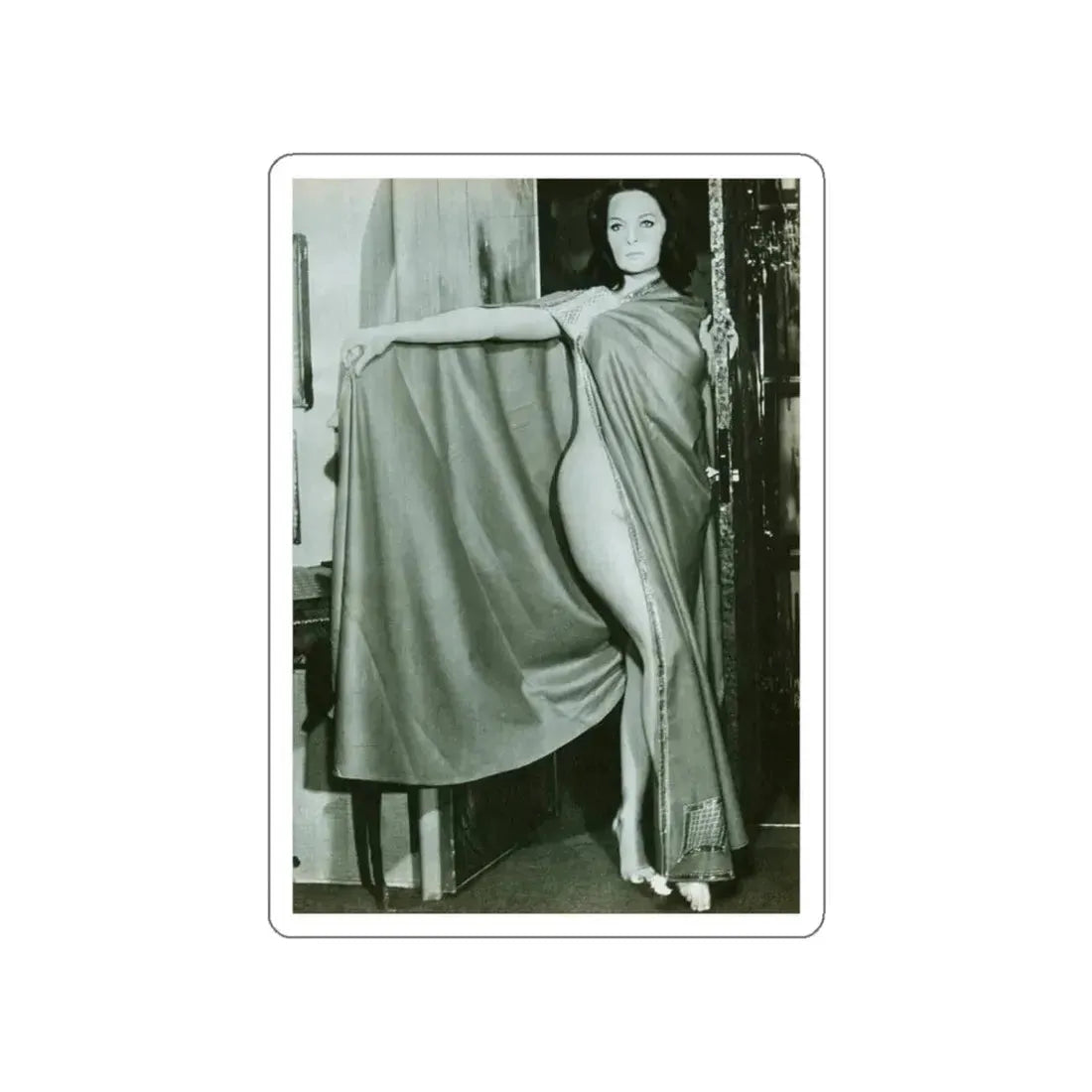 Lisa Gastoni #45 (Vintage Female Icon) STICKER Vinyl Die-Cut Decal - The Sticker Space