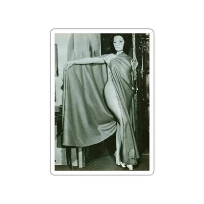 Lisa Gastoni #45 (Vintage Female Icon) STICKER Vinyl Die-Cut Decal White Die-Cut 4 Inch - The Sticker Space