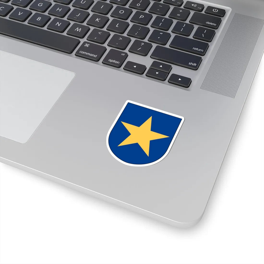 Livgardet 10. stabs- och understödskompaniet vapen (Sweden) (Coat of Arms) STICKER Vinyl Kiss-Cut Decal - The Sticker Space