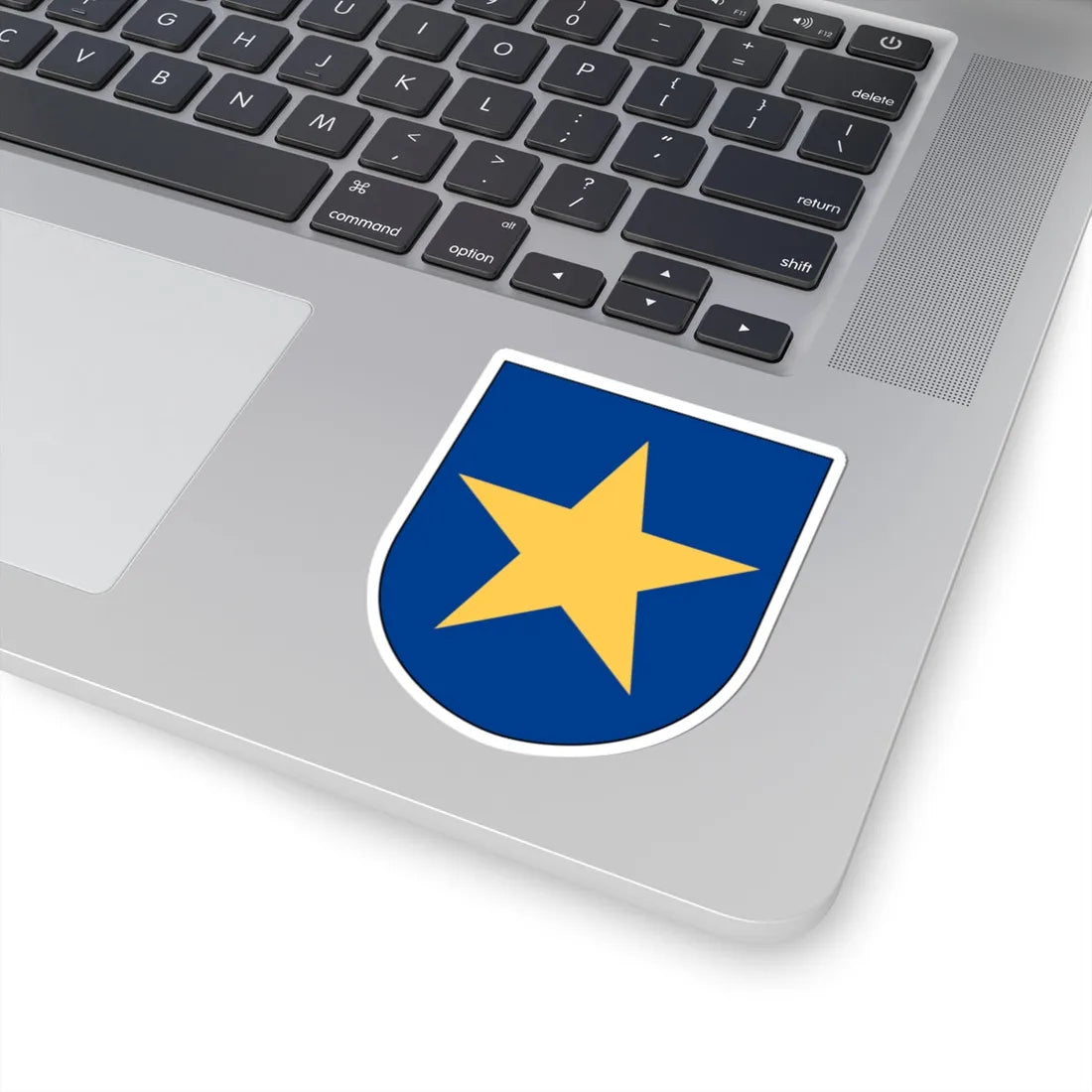 Livgardet 10. stabs- och understödskompaniet vapen (Sweden) (Coat of Arms) STICKER Vinyl Kiss-Cut Decal - The Sticker Space