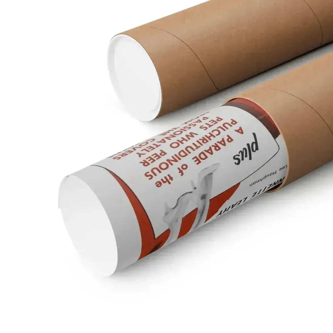 LIVING VENUS 1961 - Paper Movie Poster - The Sticker Space