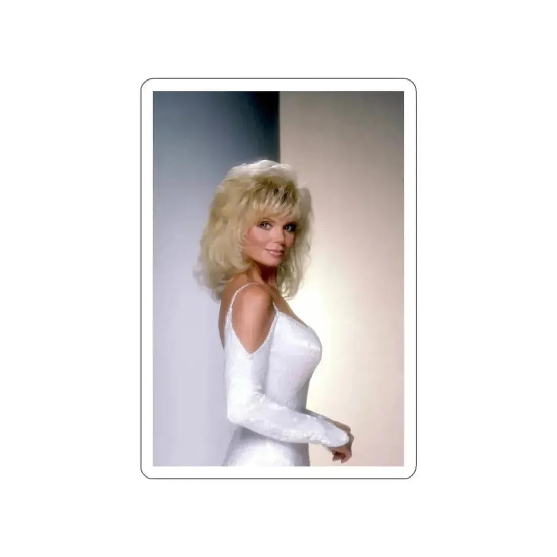 Loni Anderson #17 (Vintage Female Icon) STICKER Vinyl Die-Cut Decal White Die-Cut 3 Inch - The Sticker Space