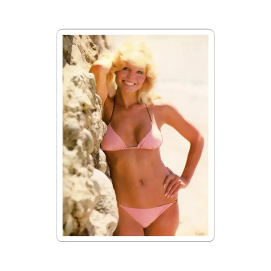 Loni Anderson #66 (Vintage Female Icon) STICKER Vinyl Kiss-Cut Decal 2 Inch White - The Sticker Space