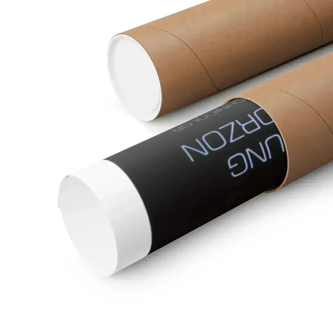 LOOKER 1981 - Paper Movie Poster - The Sticker Space