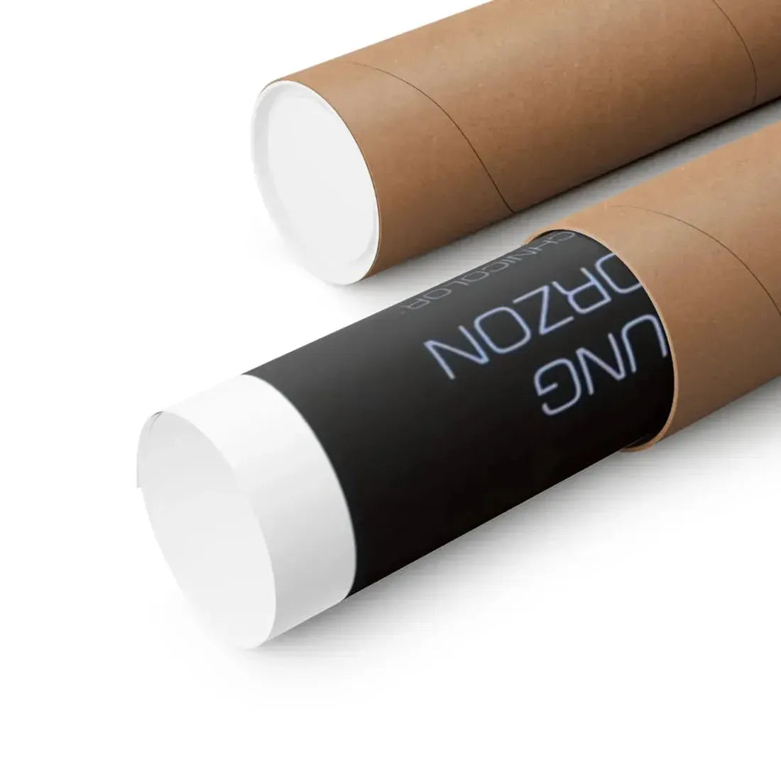 LOOKER 1981 - Paper Movie Poster - The Sticker Space