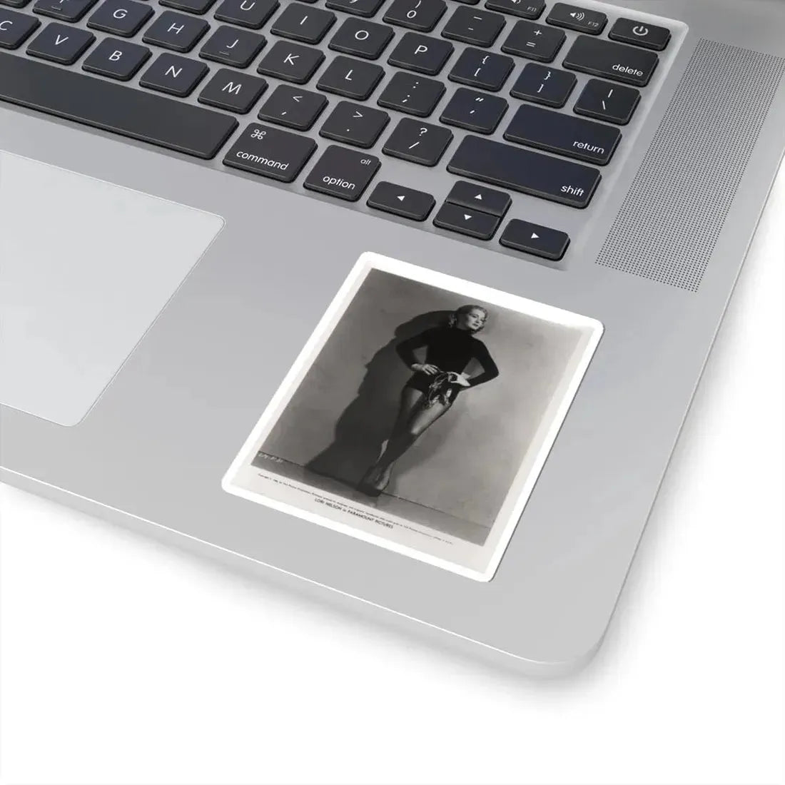 Lori Nelson #06 (Vintage Female Icon) STICKER Vinyl Kiss-Cut Decal - The Sticker Space