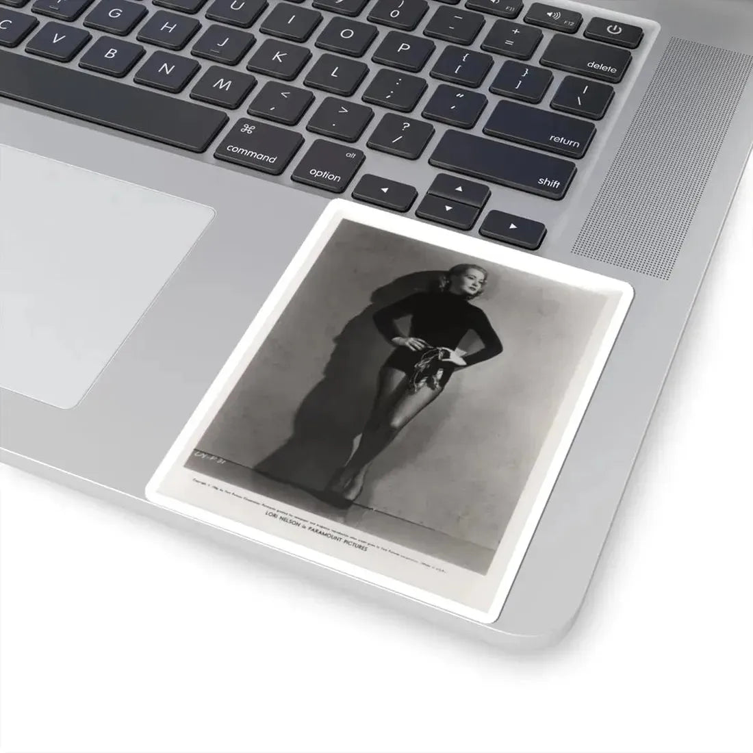 Lori Nelson #06 (Vintage Female Icon) STICKER Vinyl Kiss-Cut Decal - The Sticker Space