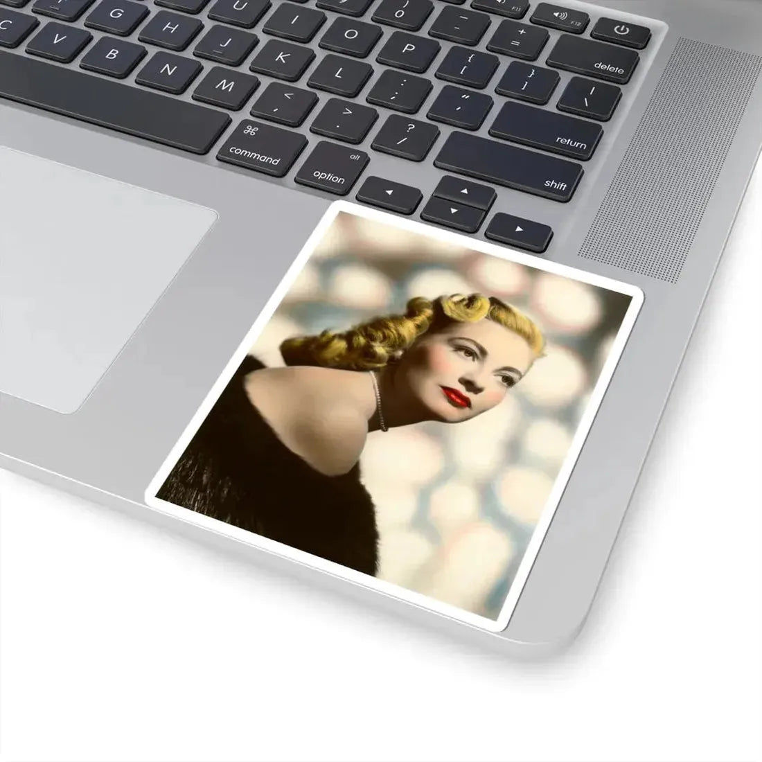 Lori Nelson #104 (Vintage Female Icon) STICKER Vinyl Kiss-Cut Decal - The Sticker Space