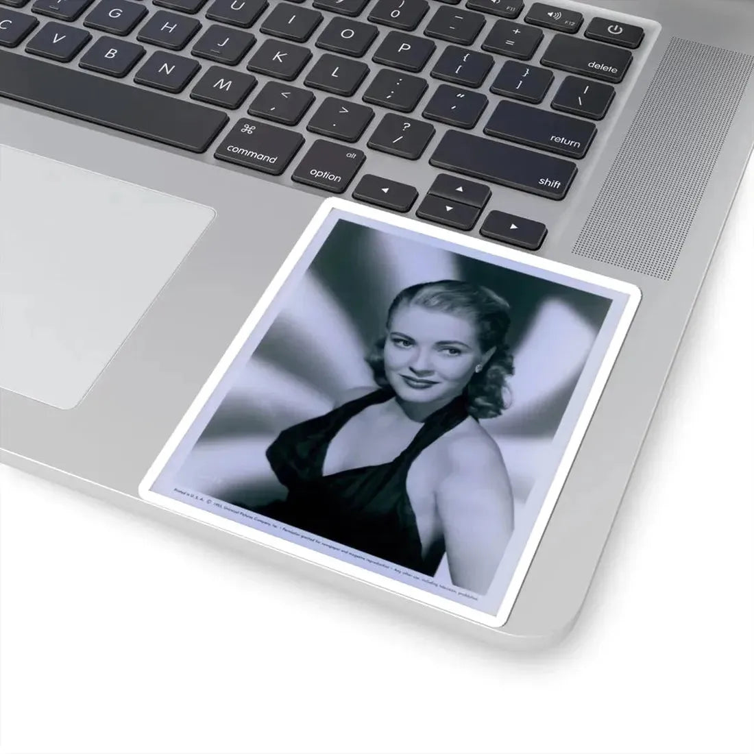 Lori Nelson #108 (Vintage Female Icon) STICKER Vinyl Kiss-Cut Decal - The Sticker Space