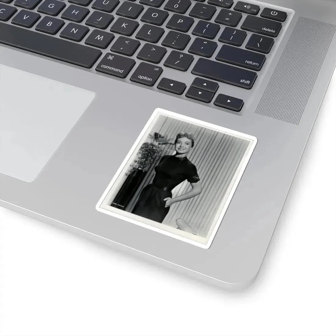 Lori Nelson #110 (Vintage Female Icon) STICKER Vinyl Kiss-Cut Decal - The Sticker Space