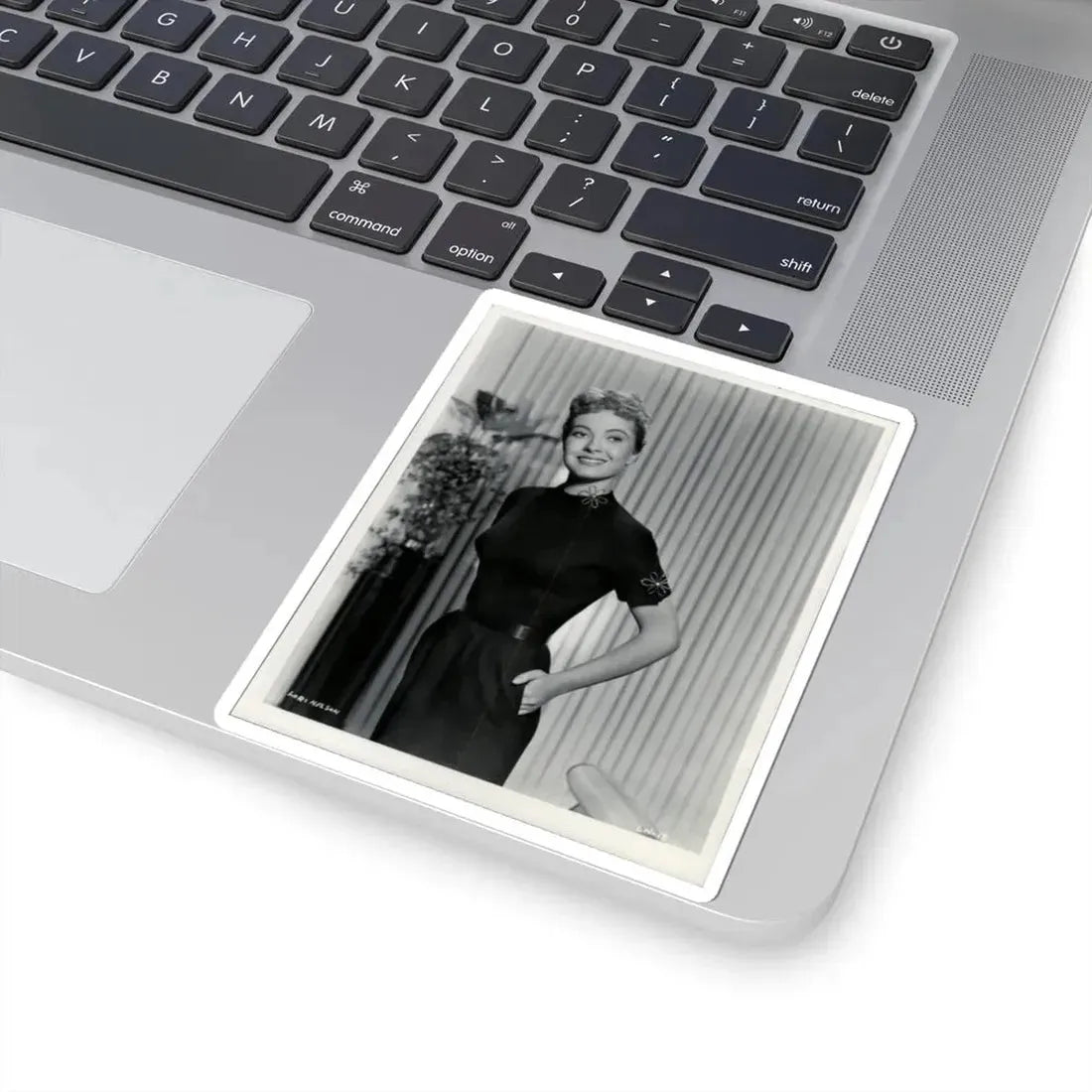 Lori Nelson #110 (Vintage Female Icon) STICKER Vinyl Kiss-Cut Decal - The Sticker Space