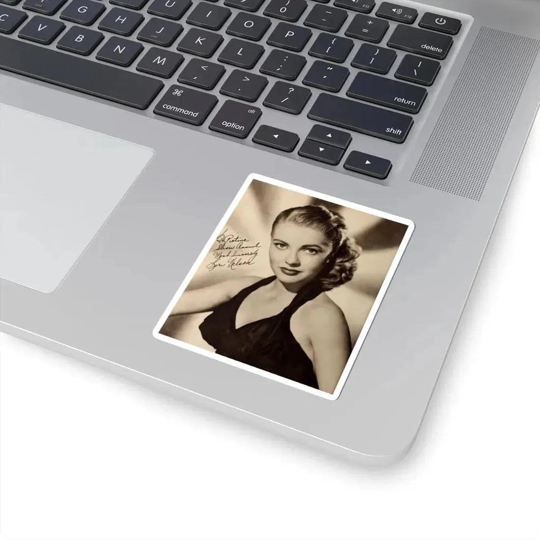 Lori Nelson #112 (Vintage Female Icon) STICKER Vinyl Kiss-Cut Decal - The Sticker Space