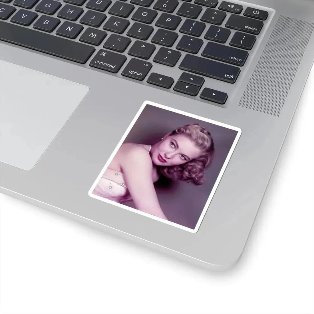 Lori Nelson #115 (Vintage Female Icon) STICKER Vinyl Kiss-Cut Decal - The Sticker Space