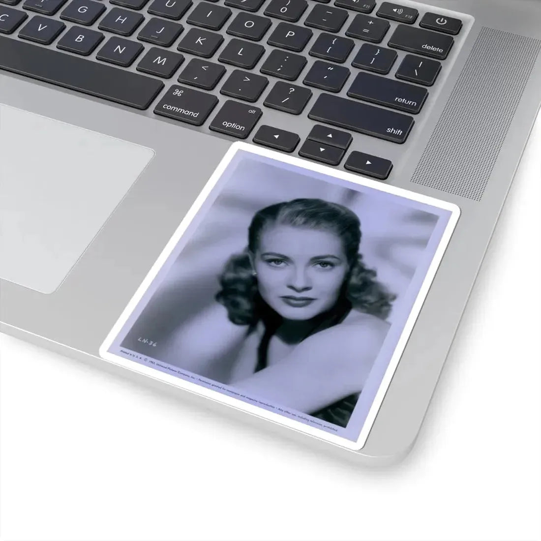 Lori Nelson #121 (Vintage Female Icon) STICKER Vinyl Kiss-Cut Decal - The Sticker Space