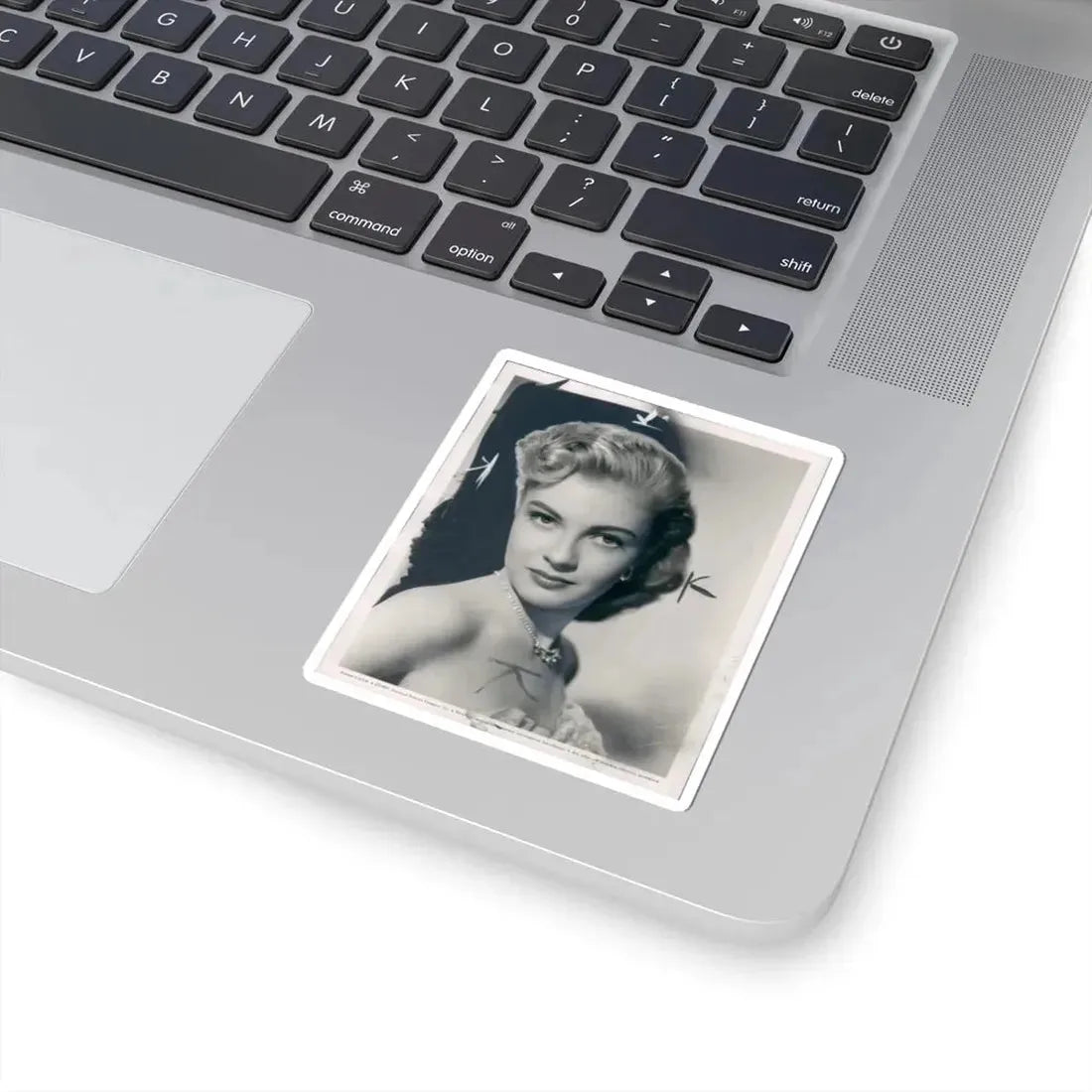 Lori Nelson #131 (Vintage Female Icon) STICKER Vinyl Kiss-Cut Decal - The Sticker Space