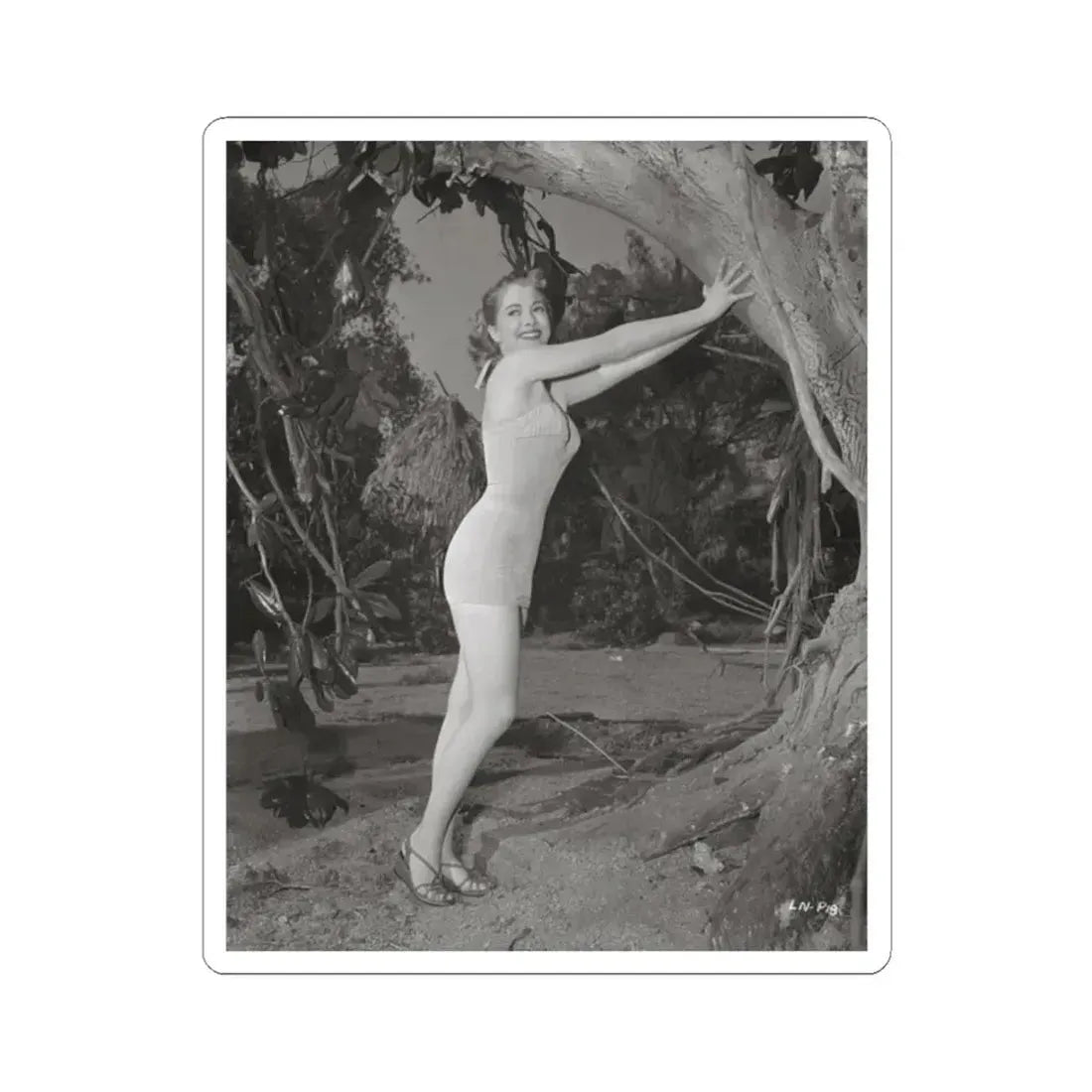 Lori Nelson #133 (Vintage Female Icon) STICKER Vinyl Kiss-Cut Decal 2 Inch White - The Sticker Space