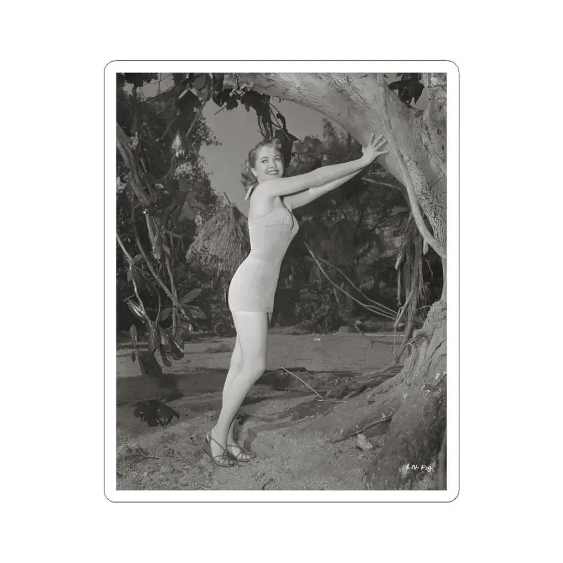 Lori Nelson #133 (Vintage Female Icon) STICKER Vinyl Kiss-Cut Decal 3 Inch White - The Sticker Space