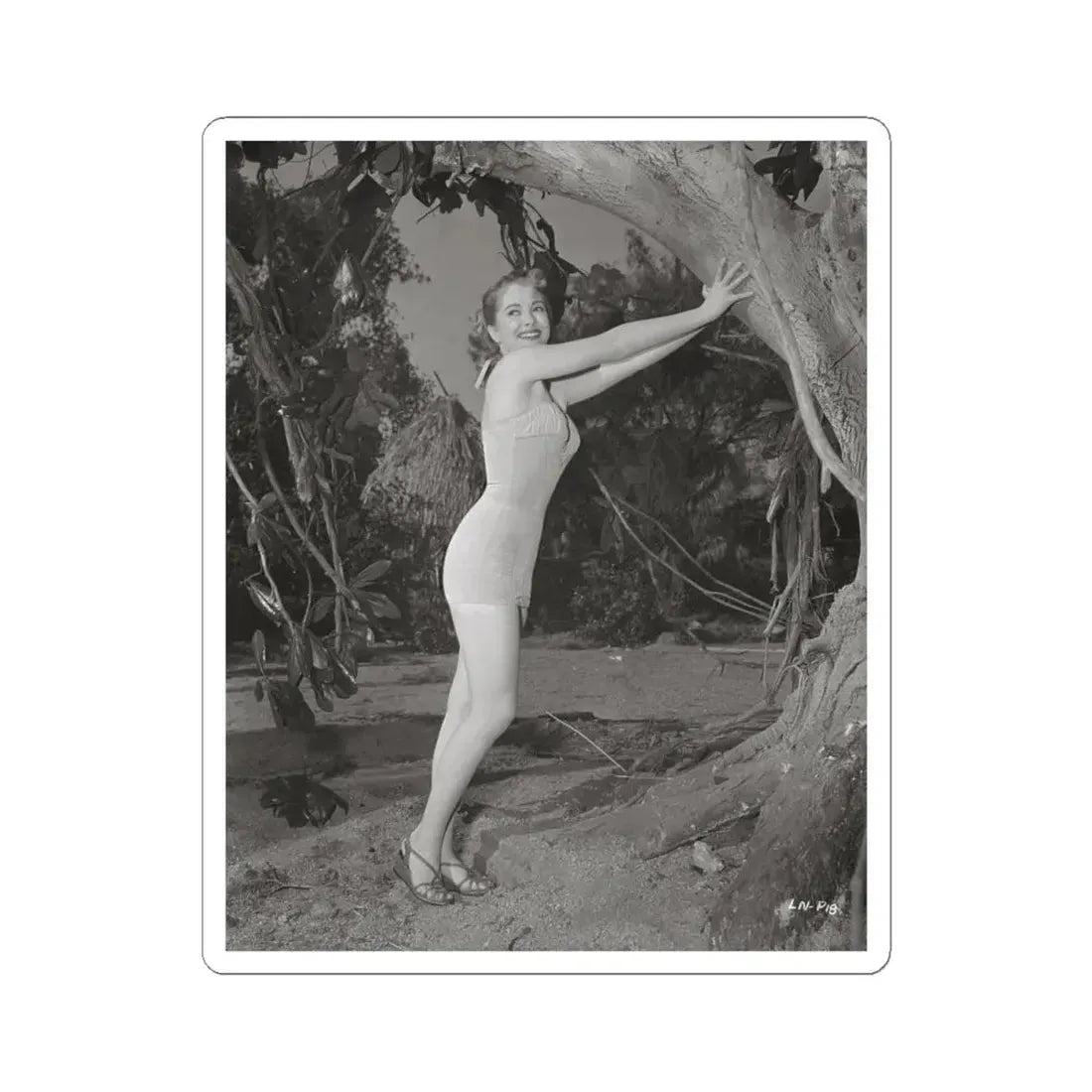 Lori Nelson #133 (Vintage Female Icon) STICKER Vinyl Kiss-Cut Decal 4 Inch White - The Sticker Space