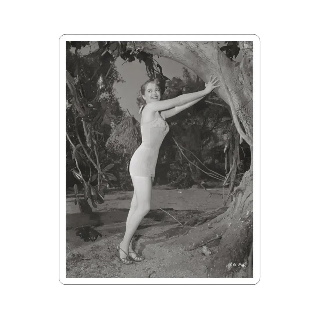 Lori Nelson #133 (Vintage Female Icon) STICKER Vinyl Kiss-Cut Decal 6 Inch White - The Sticker Space