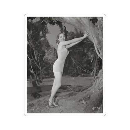 Lori Nelson #133 (Vintage Female Icon) STICKER Vinyl Kiss-Cut Decal 6 Inch White - The Sticker Space