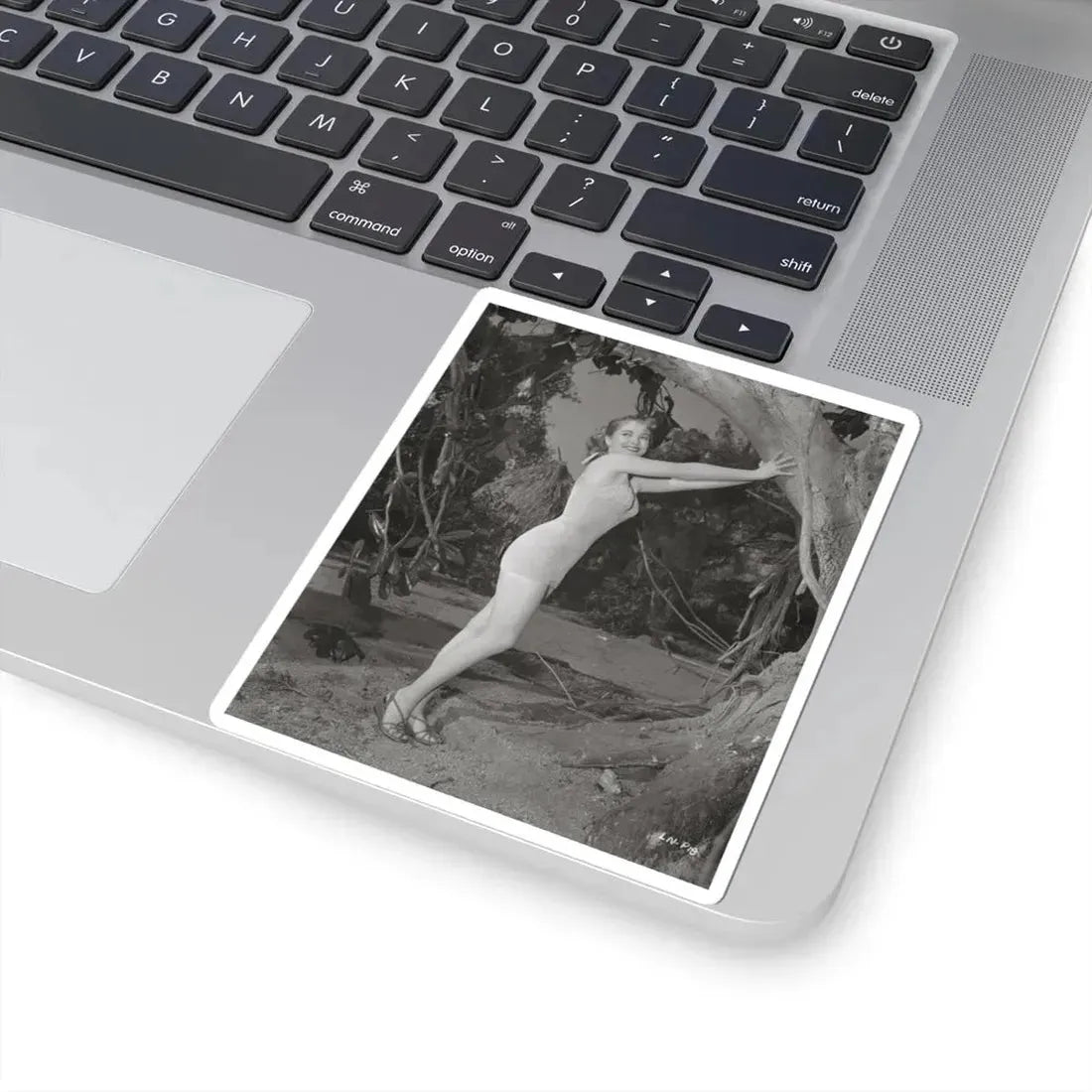 Lori Nelson #133 (Vintage Female Icon) STICKER Vinyl Kiss-Cut Decal - The Sticker Space