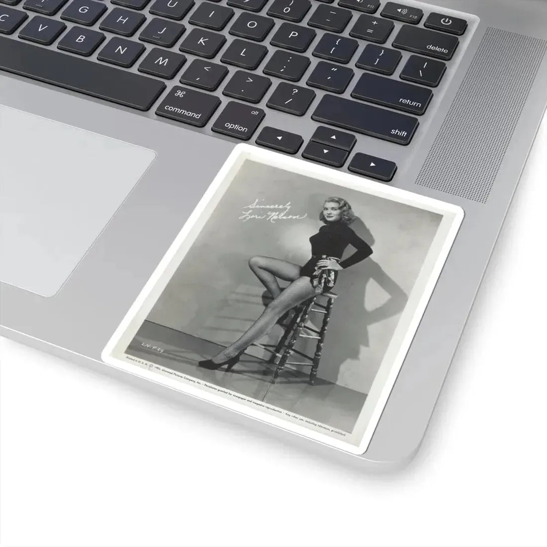 Lori Nelson #14 (Vintage Female Icon) STICKER Vinyl Kiss-Cut Decal - The Sticker Space