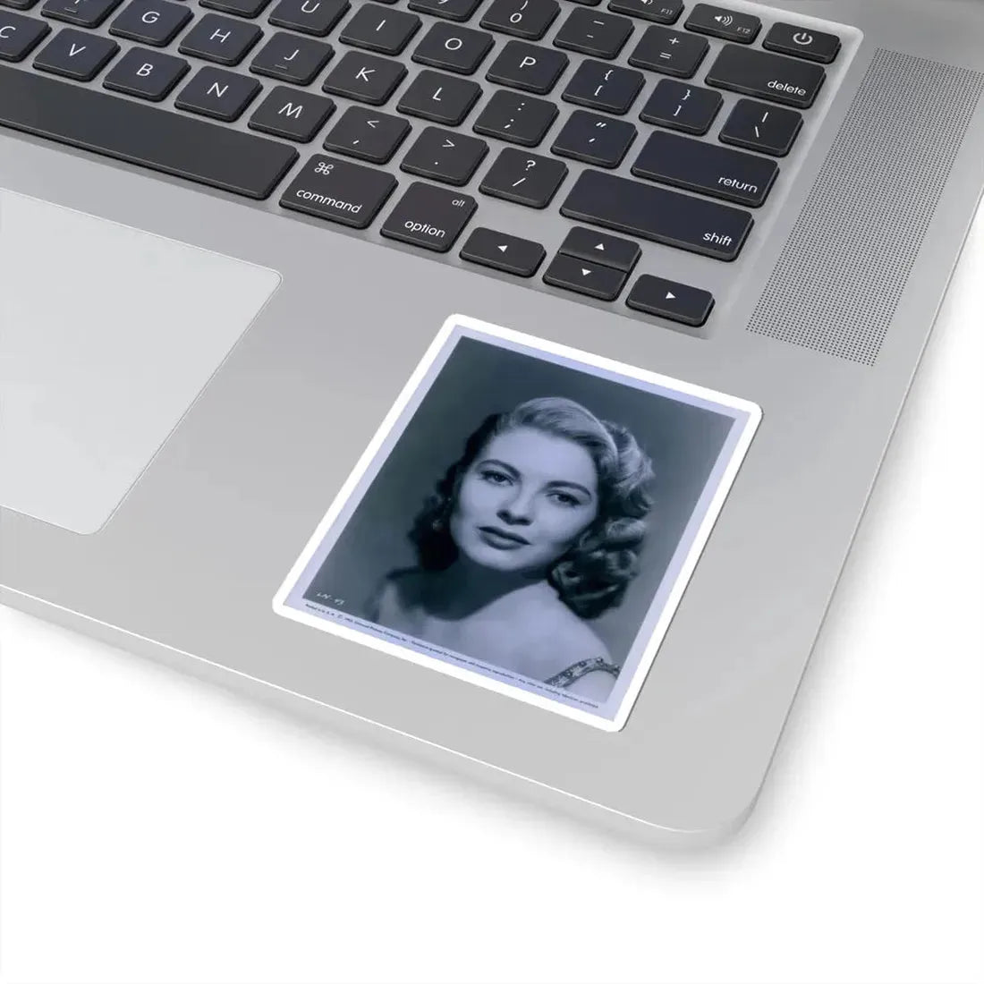 Lori Nelson #148 (Vintage Female Icon) STICKER Vinyl Kiss-Cut Decal - The Sticker Space