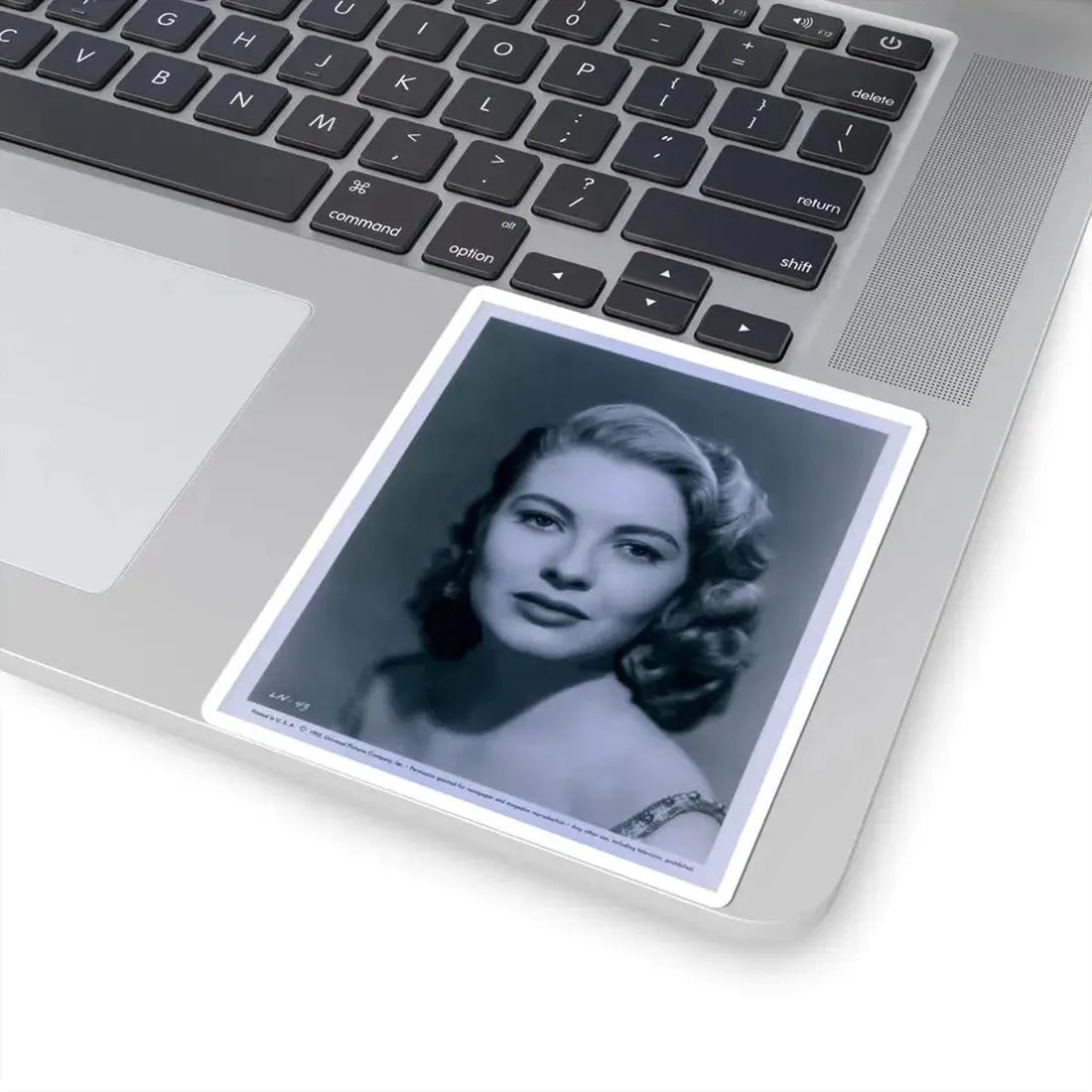 Lori Nelson #148 (Vintage Female Icon) STICKER Vinyl Kiss-Cut Decal - The Sticker Space