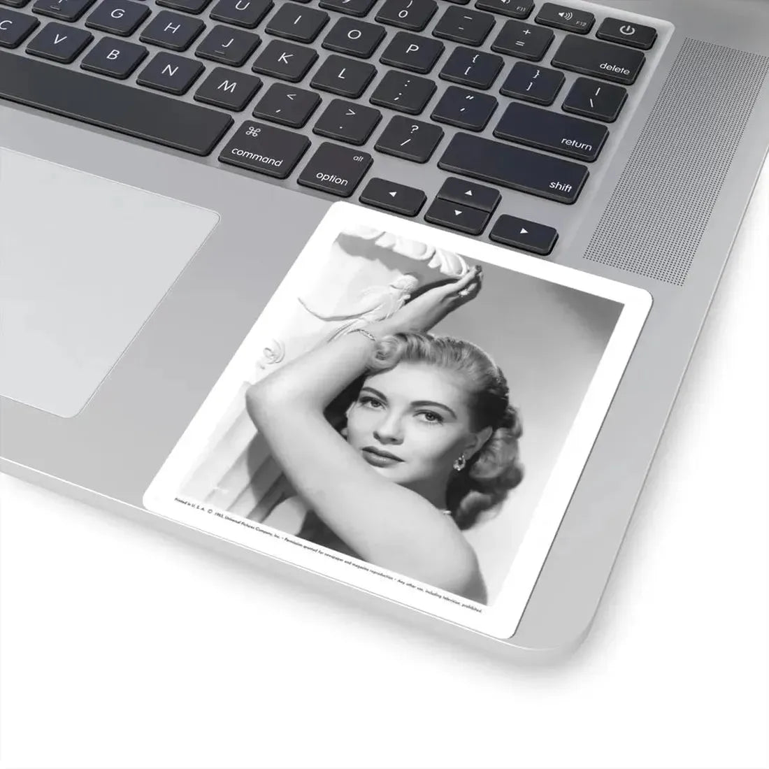 Lori Nelson #149 (Vintage Female Icon) STICKER Vinyl Kiss-Cut Decal - The Sticker Space