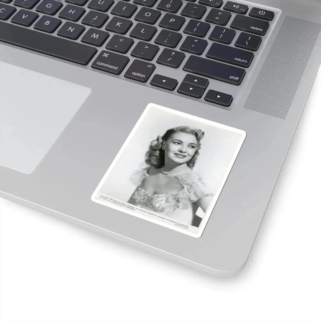 Lori Nelson #151 (Vintage Female Icon) STICKER Vinyl Kiss-Cut Decal - The Sticker Space