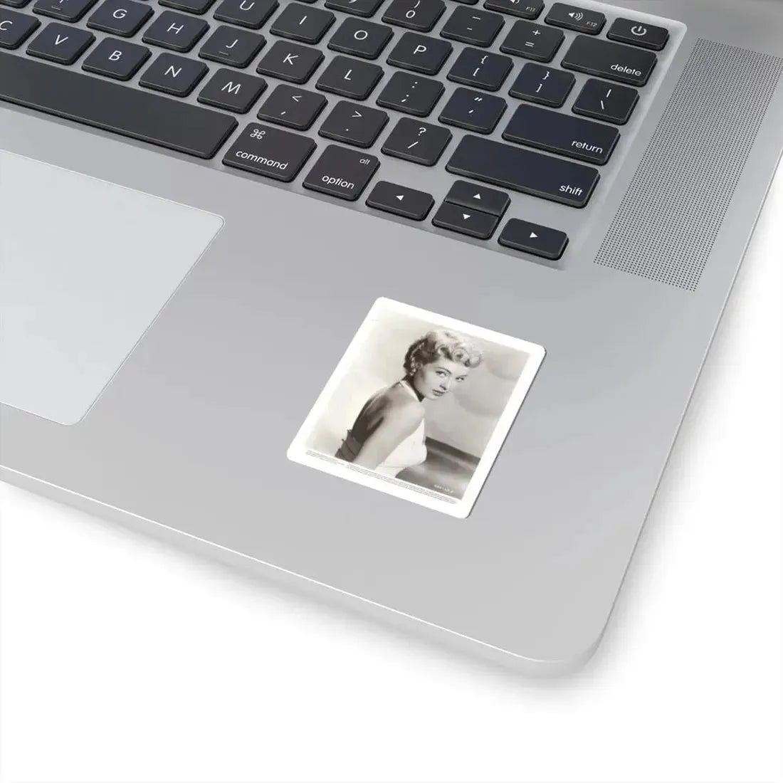 Lori Nelson #157 (Vintage Female Icon) STICKER Vinyl Kiss-Cut Decal - The Sticker Space