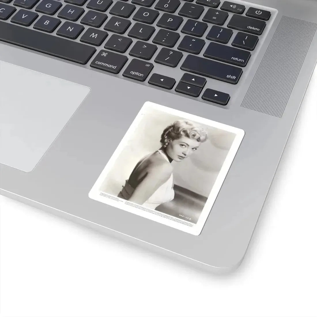 Lori Nelson #157 (Vintage Female Icon) STICKER Vinyl Kiss-Cut Decal - The Sticker Space