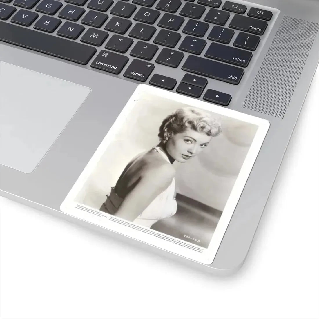 Lori Nelson #157 (Vintage Female Icon) STICKER Vinyl Kiss-Cut Decal - The Sticker Space