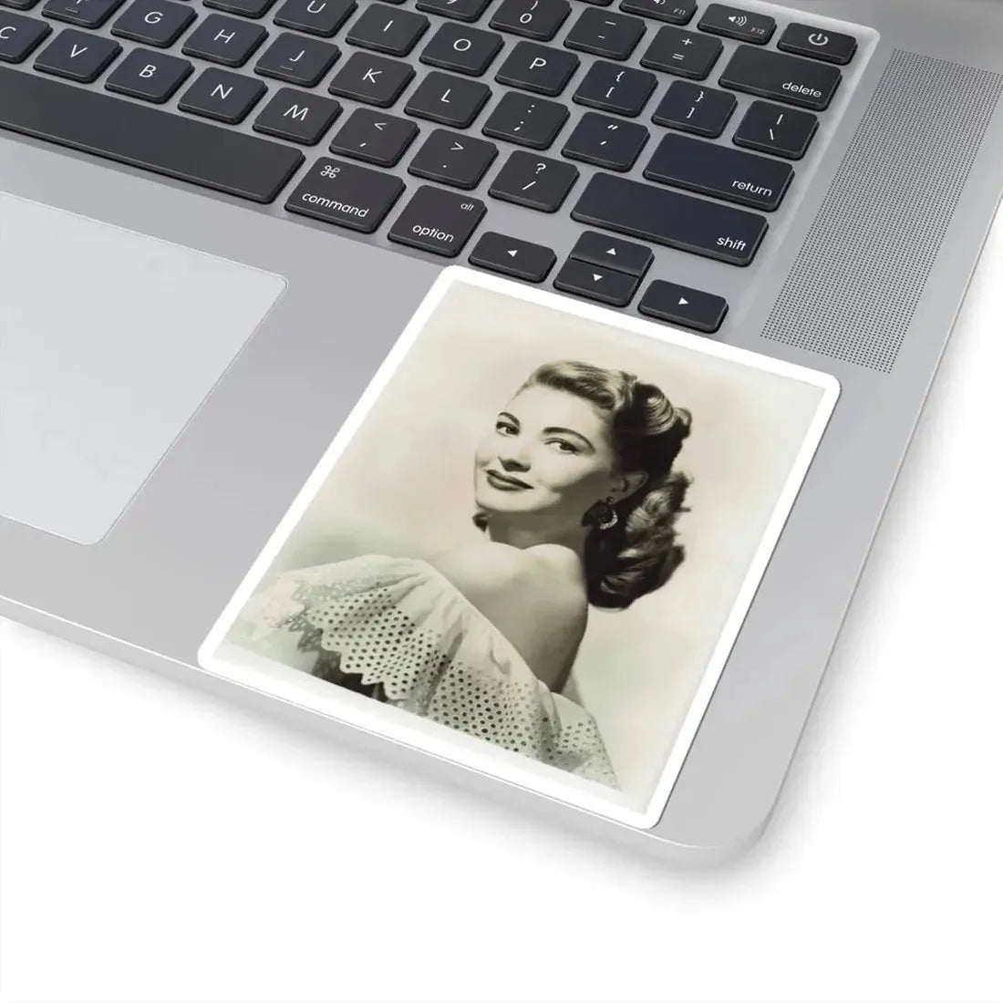 Lori Nelson #16 (Vintage Female Icon) STICKER Vinyl Kiss-Cut Decal - The Sticker Space