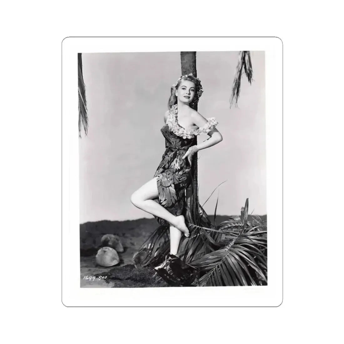 Lori Nelson #161 (Vintage Female Icon) STICKER Vinyl Kiss-Cut Decal 3 Inch White - The Sticker Space