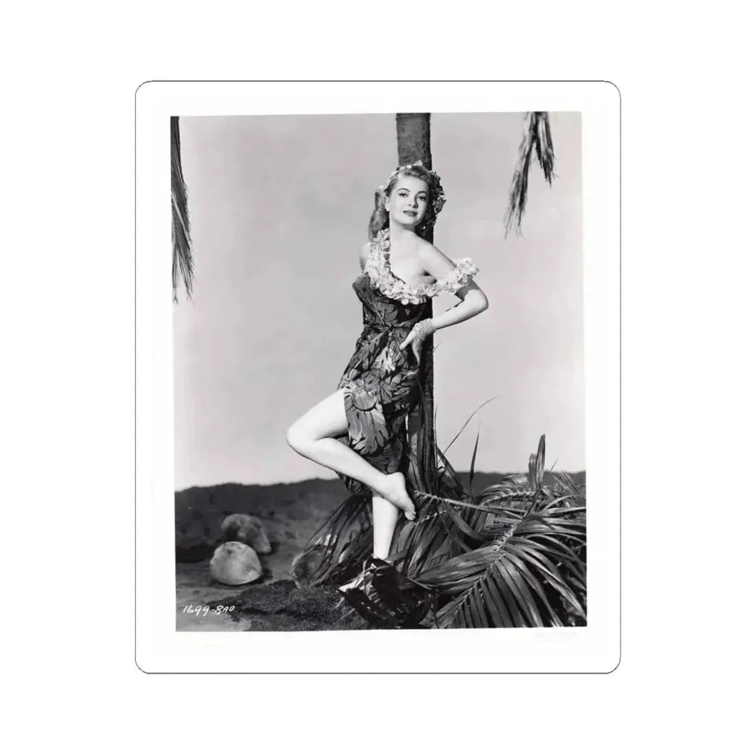 Lori Nelson #161 (Vintage Female Icon) STICKER Vinyl Kiss-Cut Decal 4 Inch White - The Sticker Space