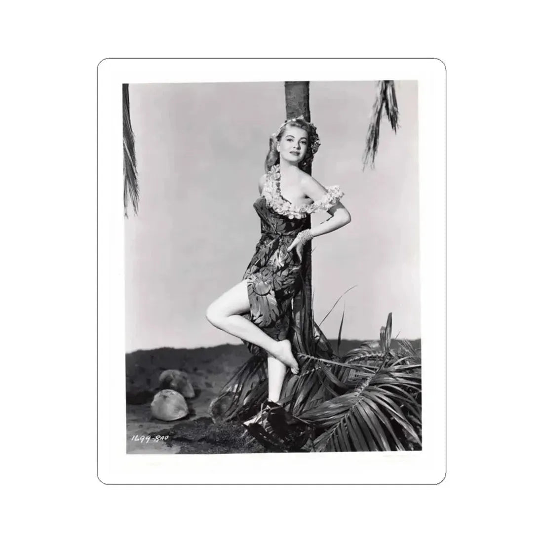 Lori Nelson #161 (Vintage Female Icon) STICKER Vinyl Kiss-Cut Decal 6 Inch White - The Sticker Space