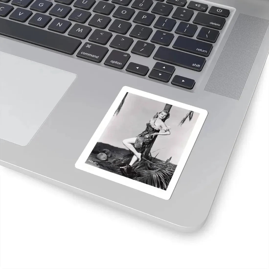 Lori Nelson #161 (Vintage Female Icon) STICKER Vinyl Kiss-Cut Decal - The Sticker Space