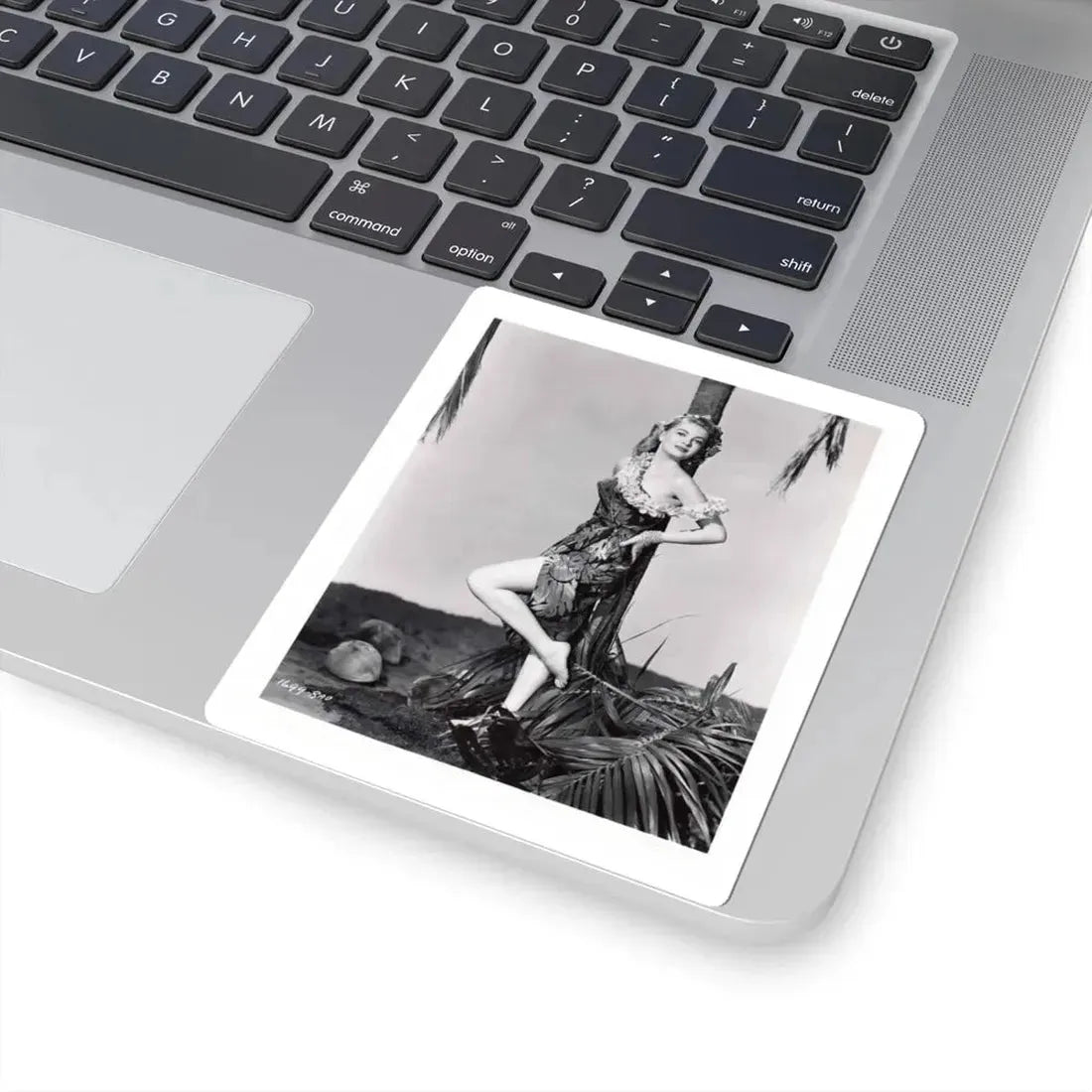 Lori Nelson #161 (Vintage Female Icon) STICKER Vinyl Kiss-Cut Decal - The Sticker Space