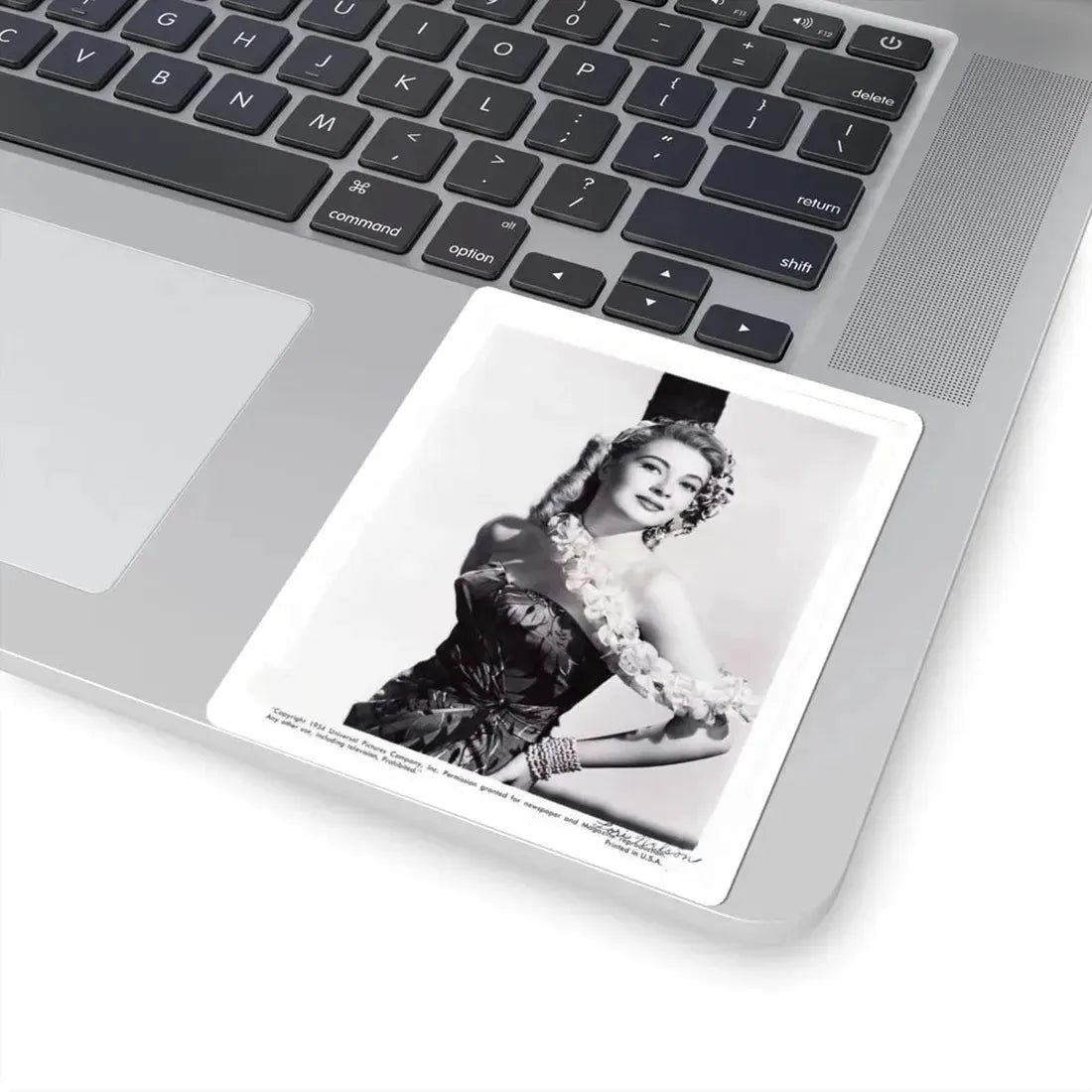 Lori Nelson #162 (Vintage Female Icon) STICKER Vinyl Kiss-Cut Decal - The Sticker Space