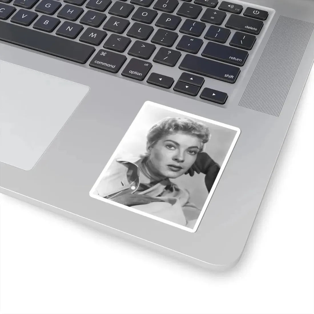 Lori Nelson #173 (Vintage Female Icon) STICKER Vinyl Kiss-Cut Decal - The Sticker Space