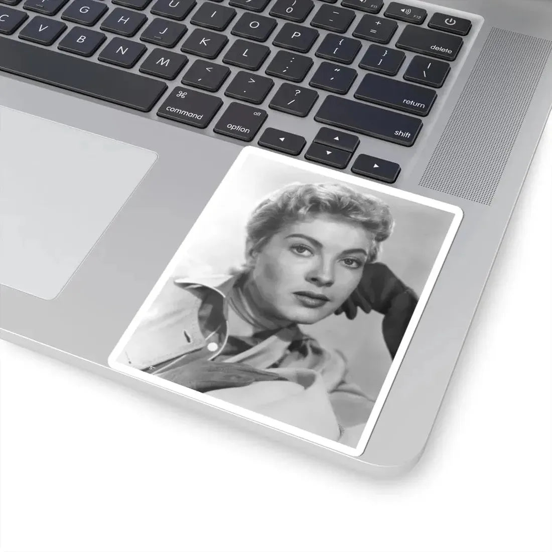 Lori Nelson #173 (Vintage Female Icon) STICKER Vinyl Kiss-Cut Decal - The Sticker Space