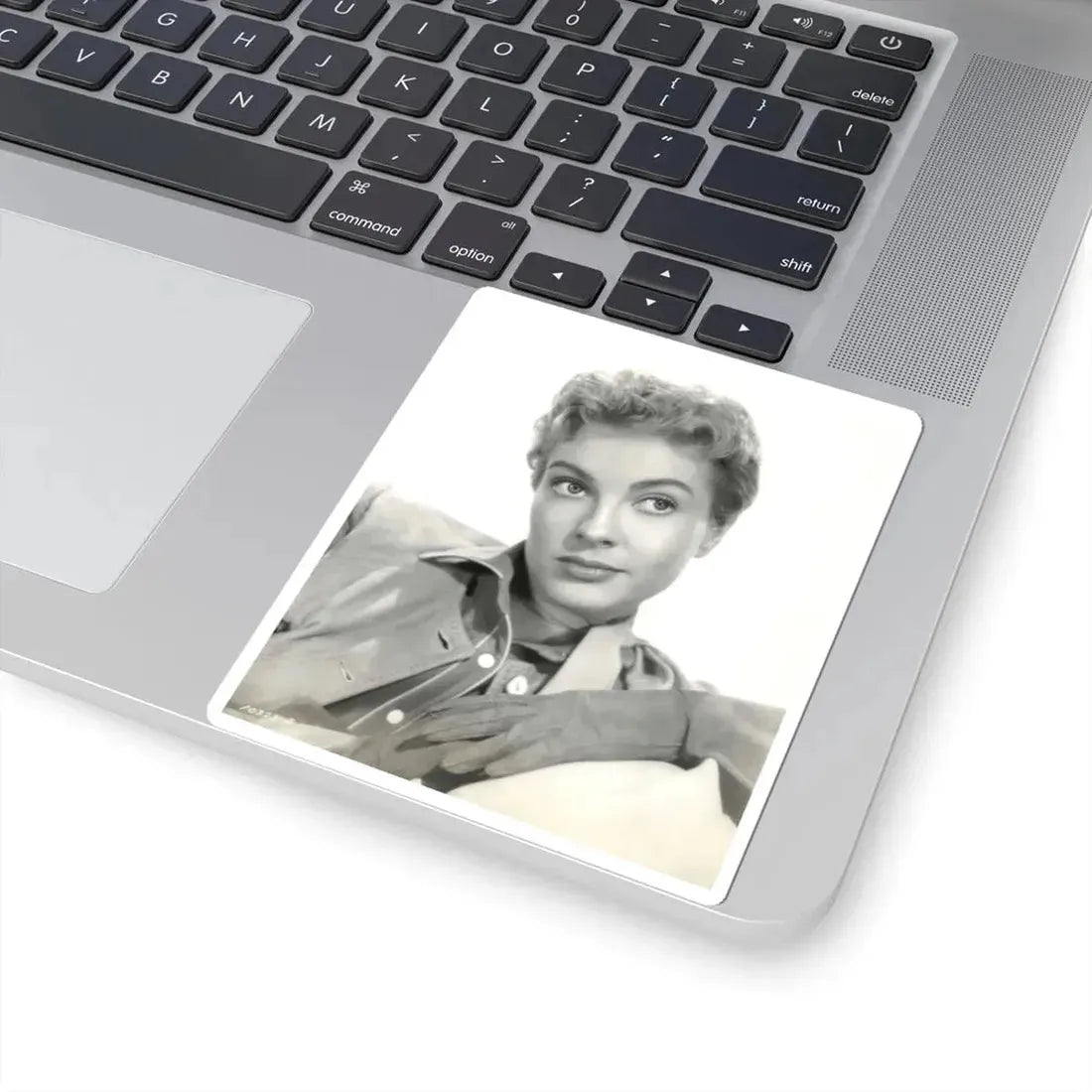 Lori Nelson #178 (Vintage Female Icon) STICKER Vinyl Kiss-Cut Decal - The Sticker Space