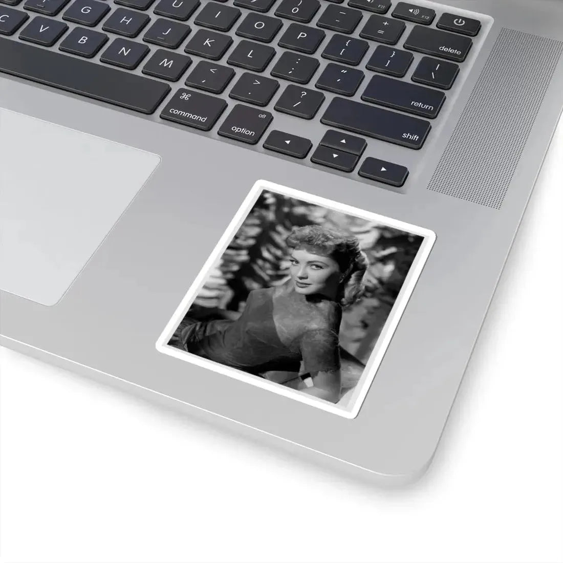 Lori Nelson #18 (Vintage Female Icon) STICKER Vinyl Kiss-Cut Decal - The Sticker Space