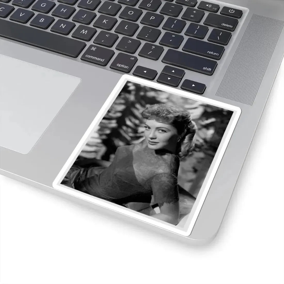 Lori Nelson #18 (Vintage Female Icon) STICKER Vinyl Kiss-Cut Decal - The Sticker Space