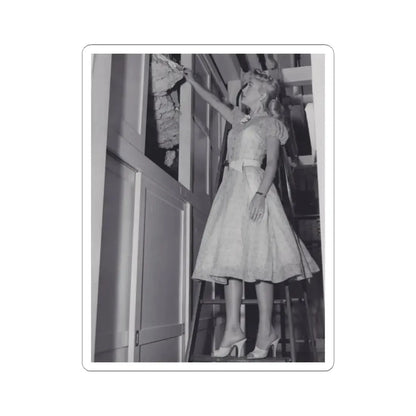 Lori Nelson #180 (Vintage Female Icon) STICKER Vinyl Kiss-Cut Decal 2 Inch White - The Sticker Space