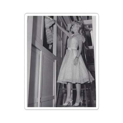 Lori Nelson #180 (Vintage Female Icon) STICKER Vinyl Kiss-Cut Decal 3 Inch White - The Sticker Space