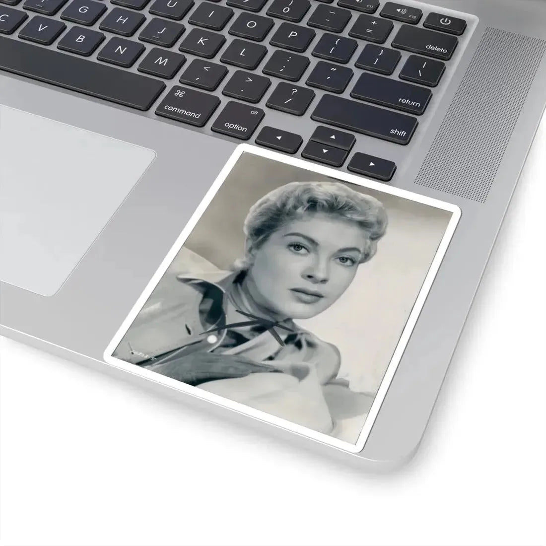 Lori Nelson #19 (Vintage Female Icon) STICKER Vinyl Kiss-Cut Decal - The Sticker Space